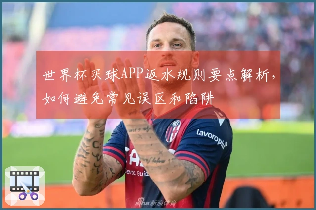 世界杯买球APP返水规则要点解析，如何避免常见误区和陷阱