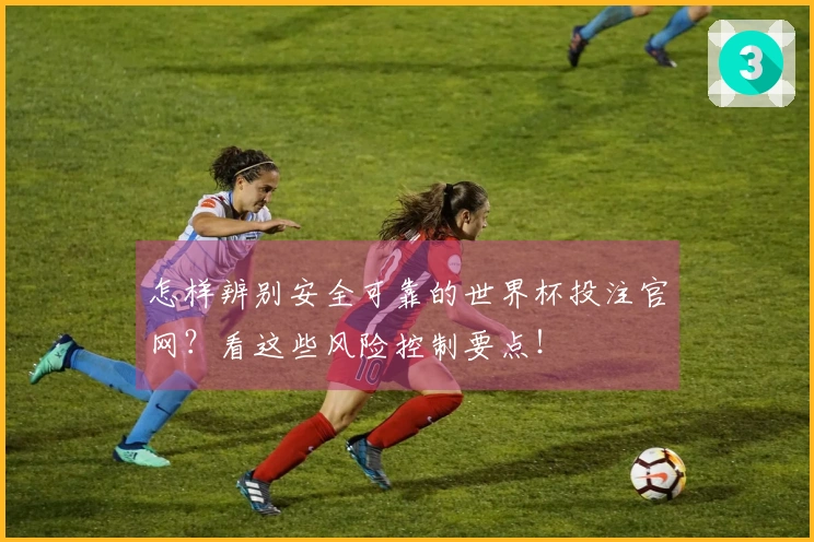 怎样辨别安全可靠的世界杯投注官网？看这些风险控制要点！
