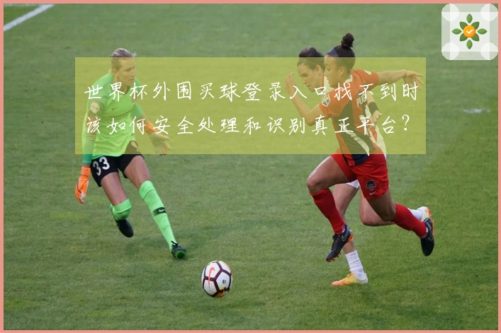 世界杯外围买球登录入口找不到时该如何安全处理和识别真正平台？