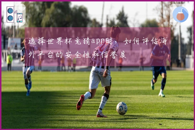 选择世界杯竞猜app时，如何评估海外平台的安全性和信誉度
