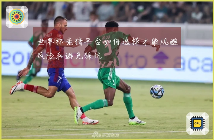 世界杯竞猜平台如何选择才能规避风险和避免踩坑