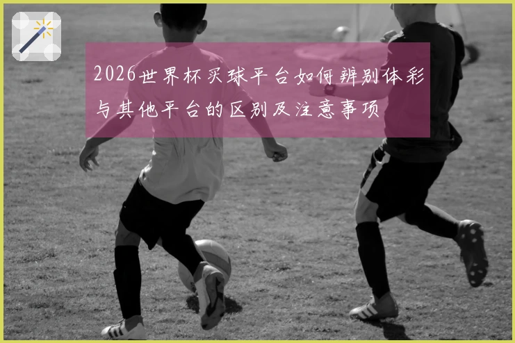 2026世界杯买球平台如何辨别体彩与其他平台的区别及注意事项